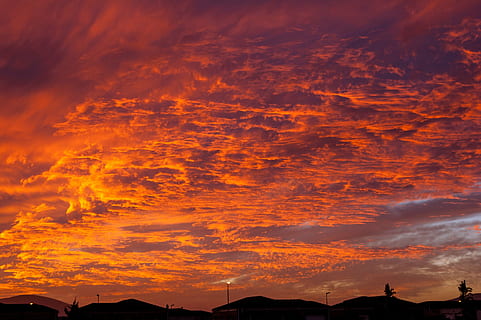 city during sunset, sunset skies, clouds, skyline, oranges HD wallpaper