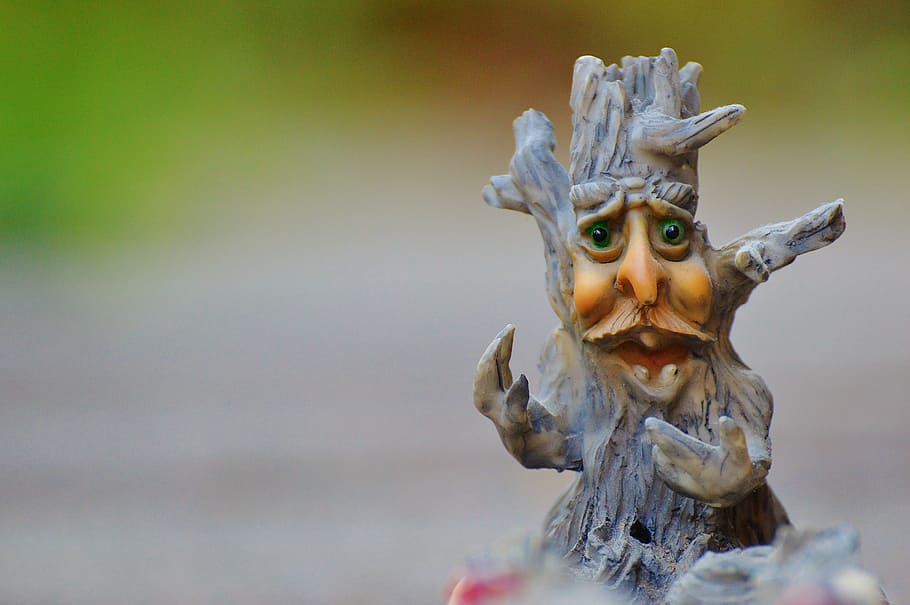 tree, face, mystical, funny, tree stump, creepy, weird, halloween HD wallpaper