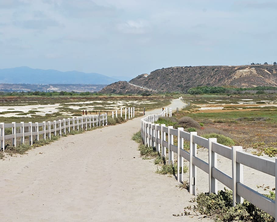 beach, path, san diego, coast, sand, ocean, summer, shore, beach sand HD wallpaper