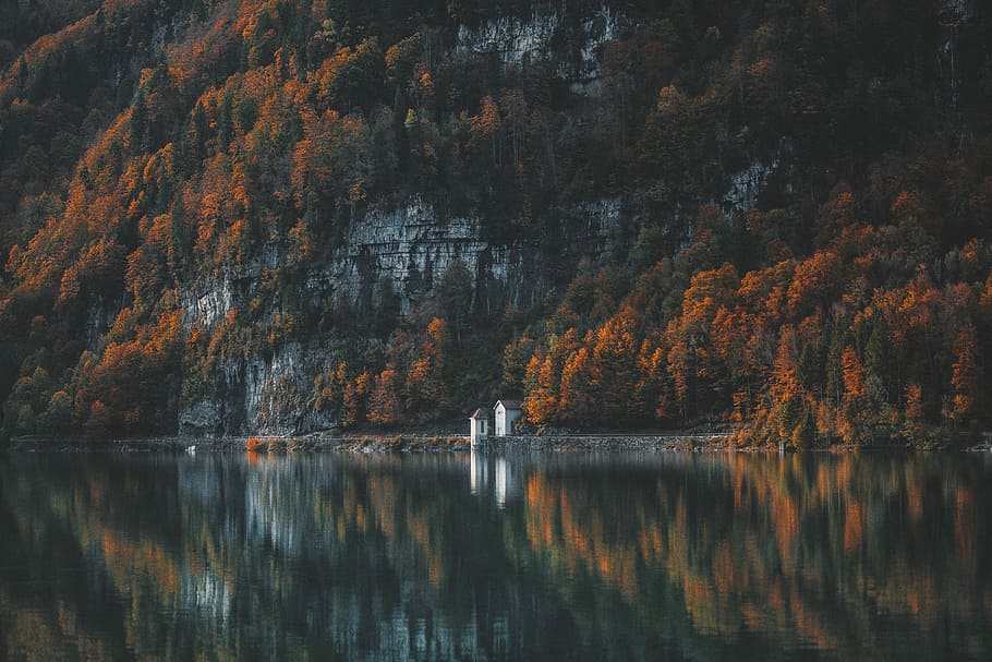 photo of mountain with body of water, houses near orange leaved trees and body of water HD wallpaper