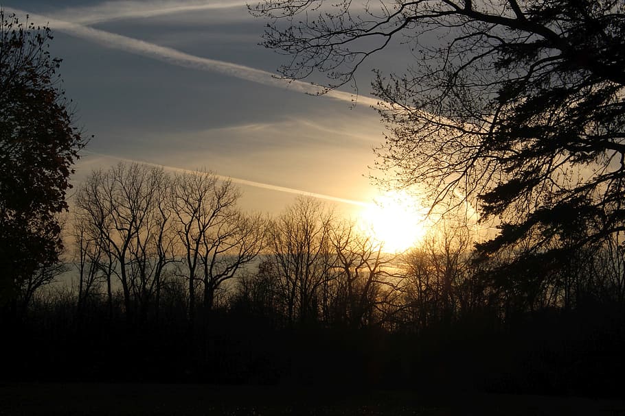 sky, sunset, the sun, tree, landscape, nature, silhouette, beauty in nature HD wallpaper