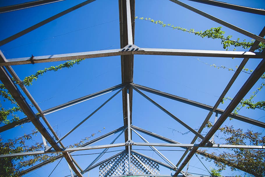 blue sky, construction, leaves, light, line, steel, trees, architecture HD wallpaper