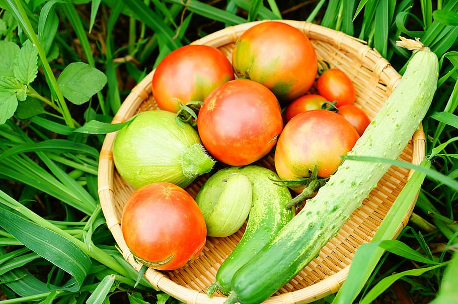 cucumber, tomato, zucchini, food, food and drink, healthy eating HD wallpaper