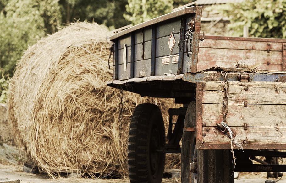 hay bale and brown wooden trailer, agriculture, trailers, commercial vehicle, HD wallpaper