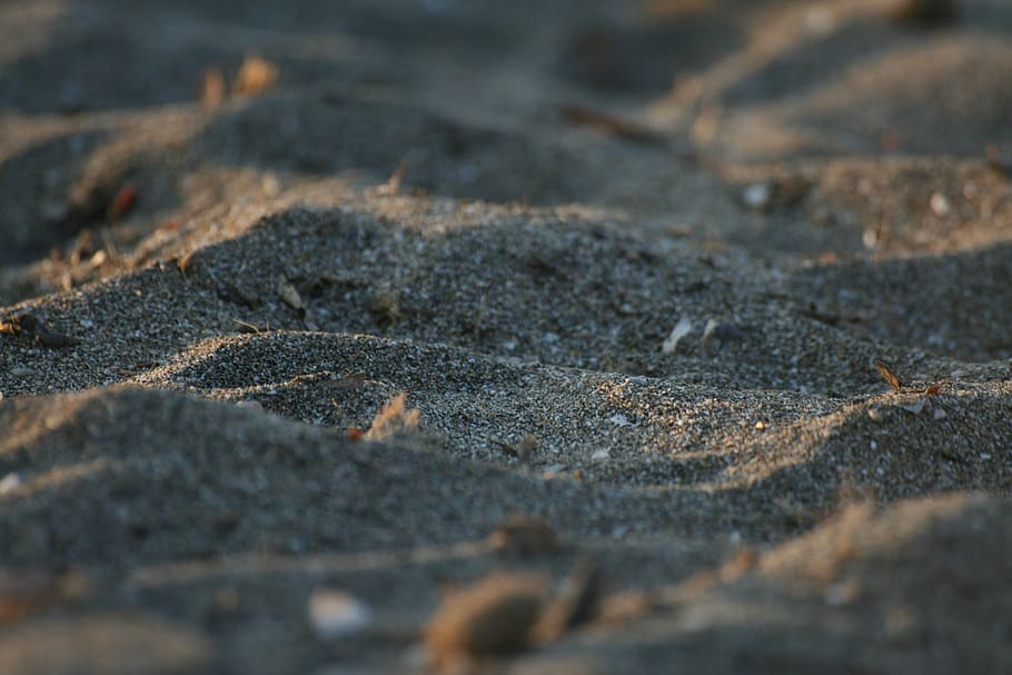sand, macro, dune, beach, backgrounds, no people, land, nature HD wallpaper