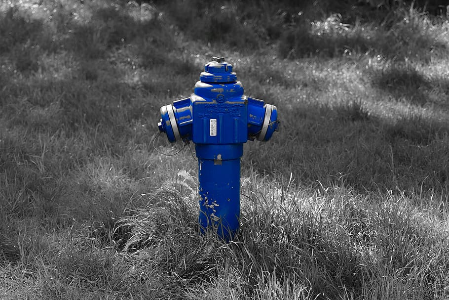 hydrant, blue, grass, plant, no people, land, nature, field HD wallpaper