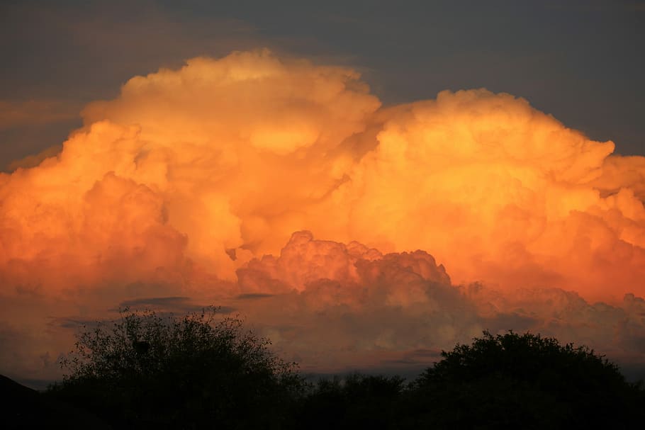 panorama, sunset, nature, sky, dusk, summer, cloud, tree, cloud - sky HD wallpaper