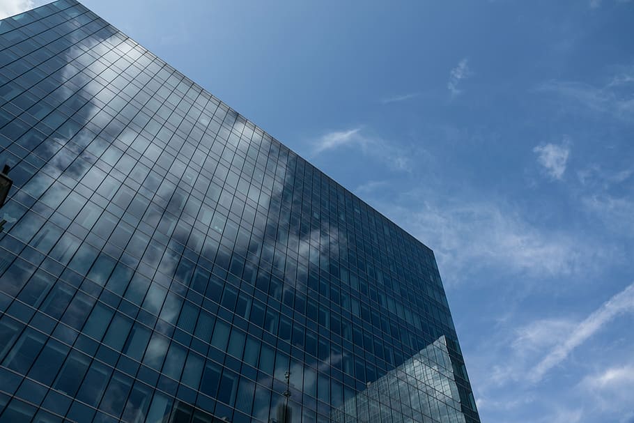 low angle photography of glass building, skyscraper, architecture HD wallpaper