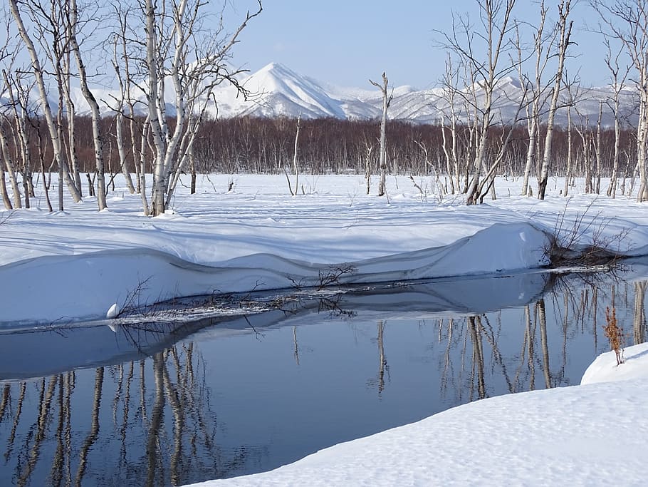 winter, river, mountains, forest, reflection, snow, leann, cold HD wallpaper