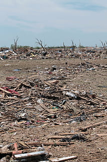 bare trees under blue sky, tornado, destruction, moore, oklahoma HD wallpaper