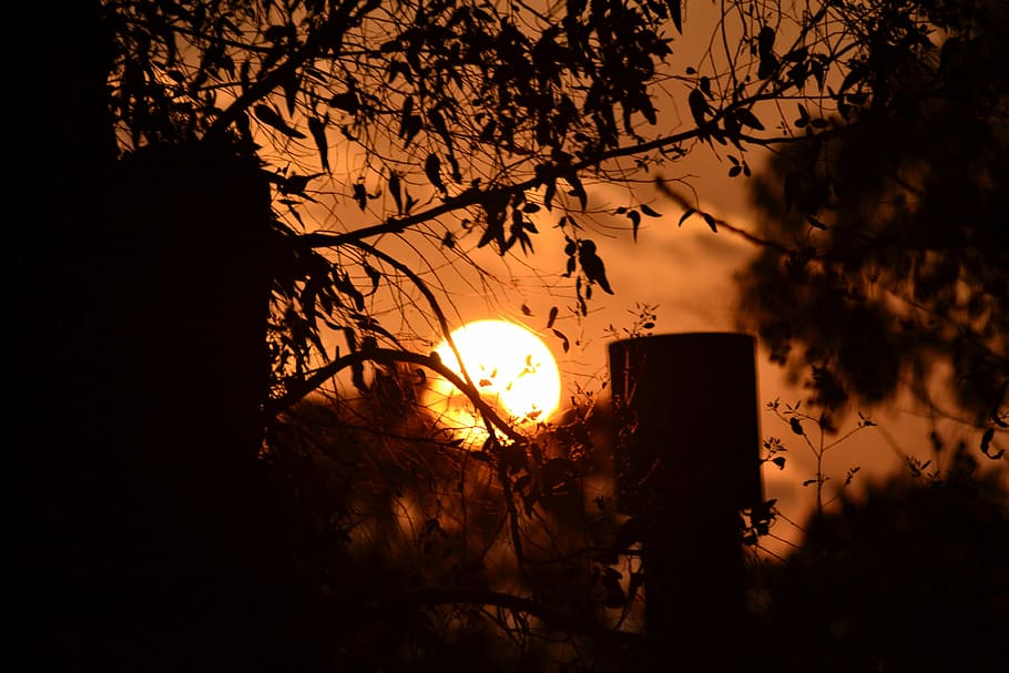 dawn, output sun, setting sun, sunset, orange sky, silhouettes HD wallpaper