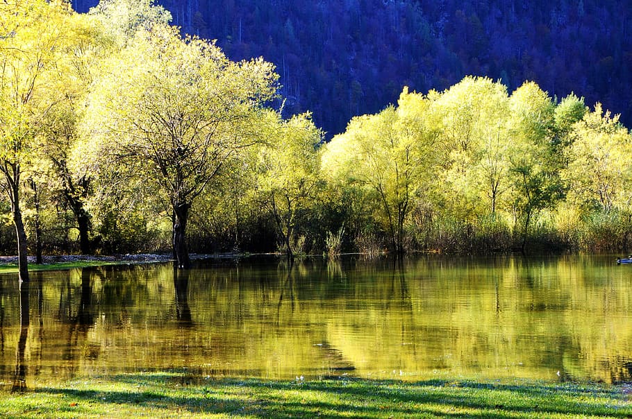autumn, reflections, lake, lakes fusine, italy, nature, landscape