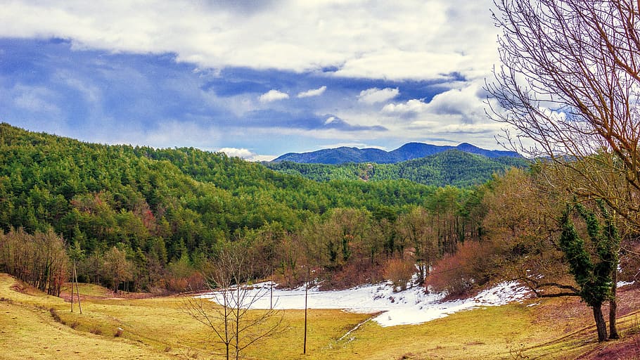 nature, panoramic, landscape, tree, sky, outdoors, mountain HD wallpaper