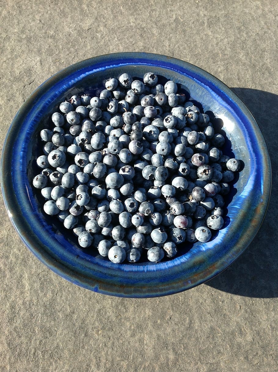 blueberries, blue berries, scale, summer, fruit, food, blueberry HD wallpaper
