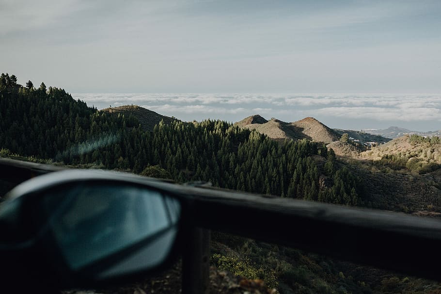 tall trees near mountain during daytime, person taking photo of mountains HD wallpaper