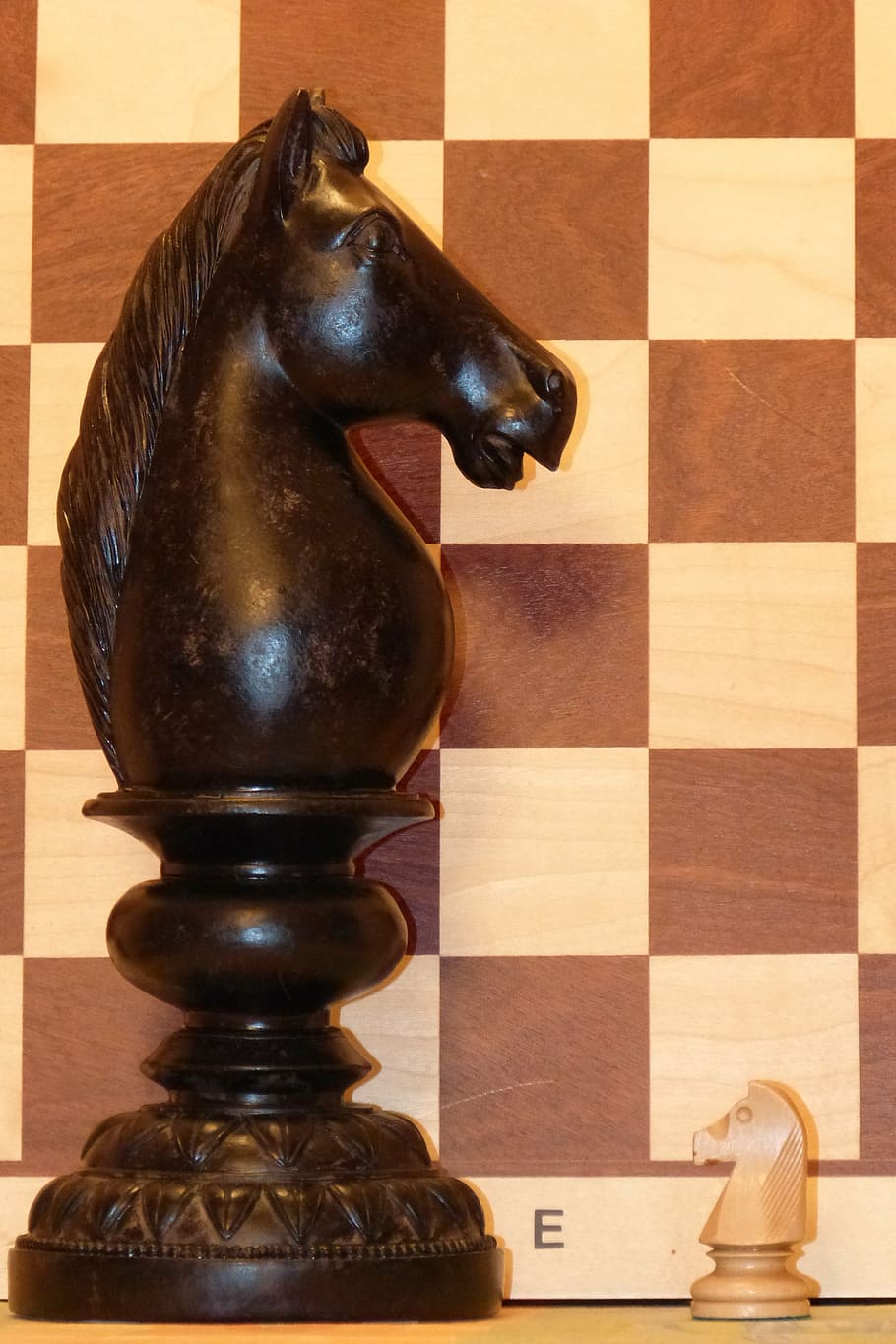 springer, chess, chess piece, horse, rössl, chess board, play, HD wallpaper