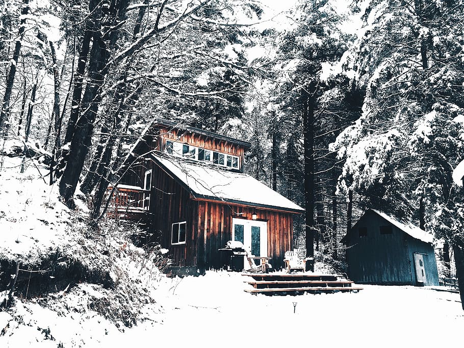 brown wooden house surrounded by green snow-covered trees, white HD wallpaper