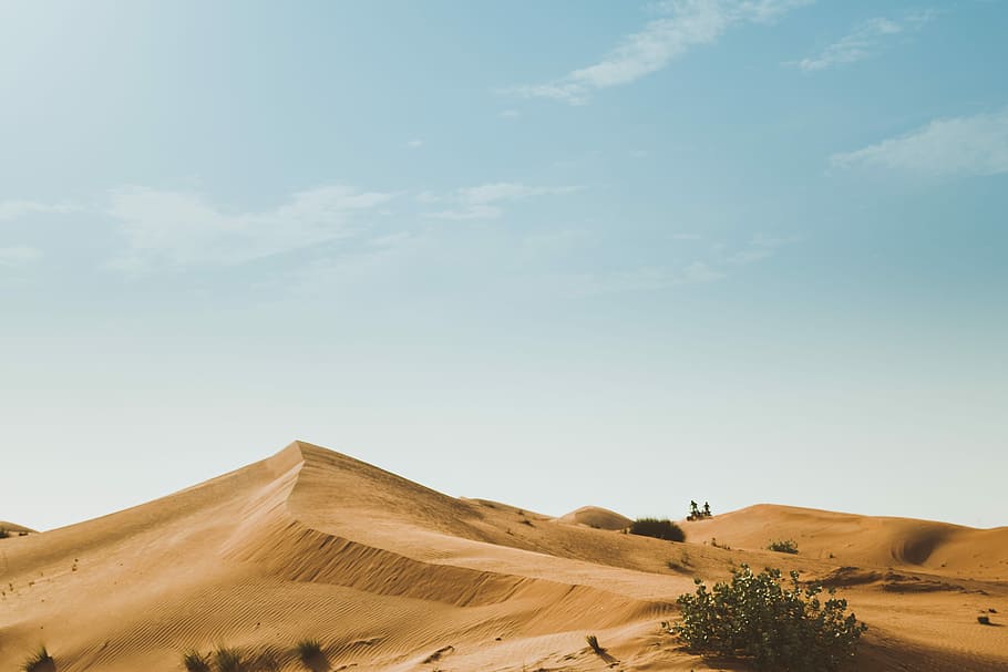 desert, beige dessert with green plant during daytime, sand, dune HD wallpaper