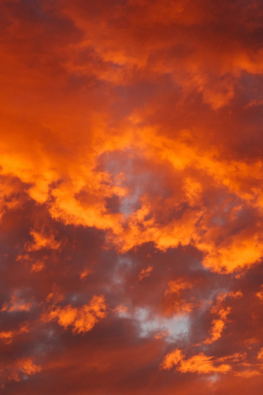 Hd Wallpaper Orange Clouds Sky Cloud Sky Orange Color Sunset Beauty In Nature 