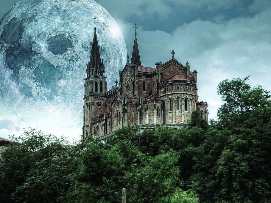 cathedral on mountain, castle, moon, trees, fantasy, dark, gothic HD wallpaper