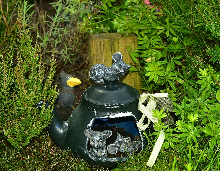 teapot, deco, bed, mice, gartendeko, plant, no people, nature HD wallpaper