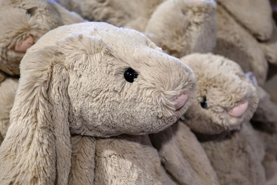 toy, fluffy, rabbit, stuffed, bunny, furry, cute, group, crowd HD wallpaper