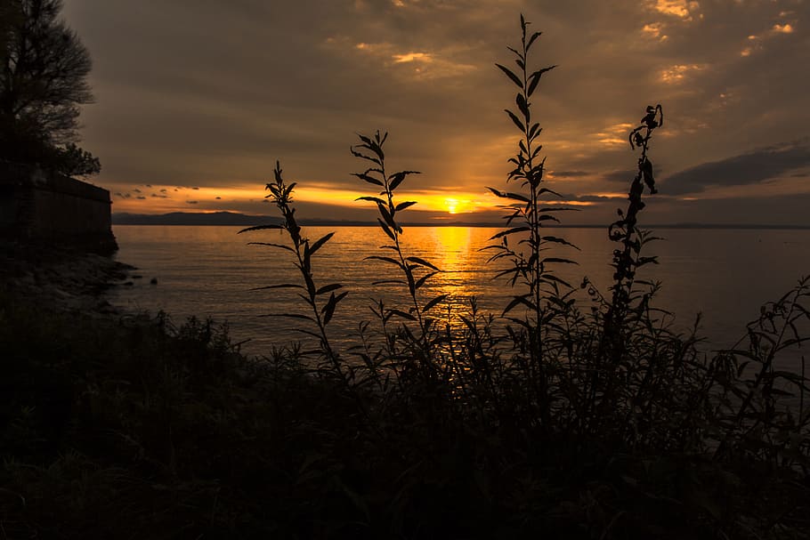sunset, lake constance, langenargen, mirroring, überlingen HD wallpaper
