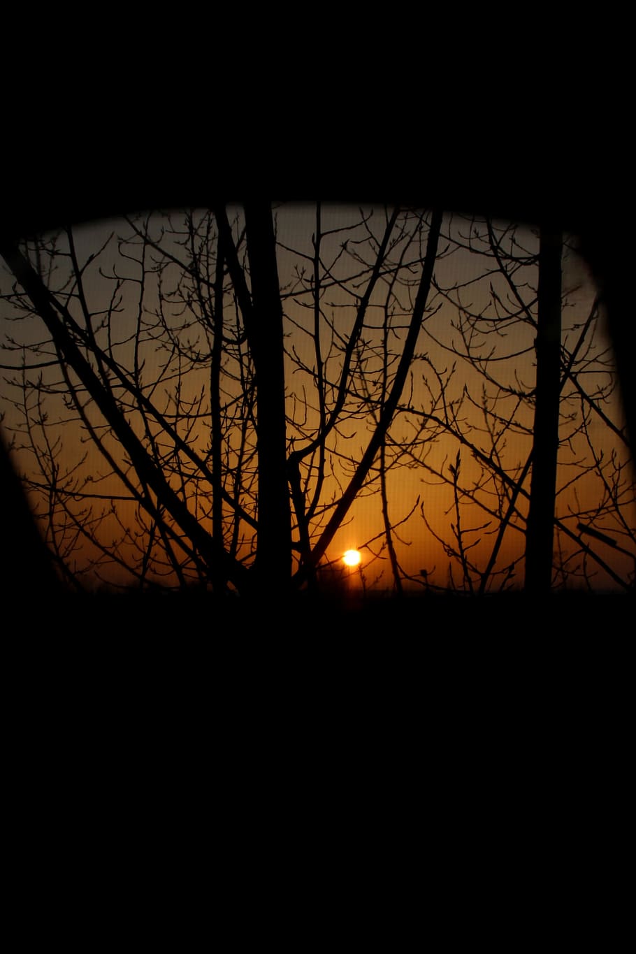Sunset, Dark, Shadow, Mirror, reflection, silhouette, tree HD wallpaper