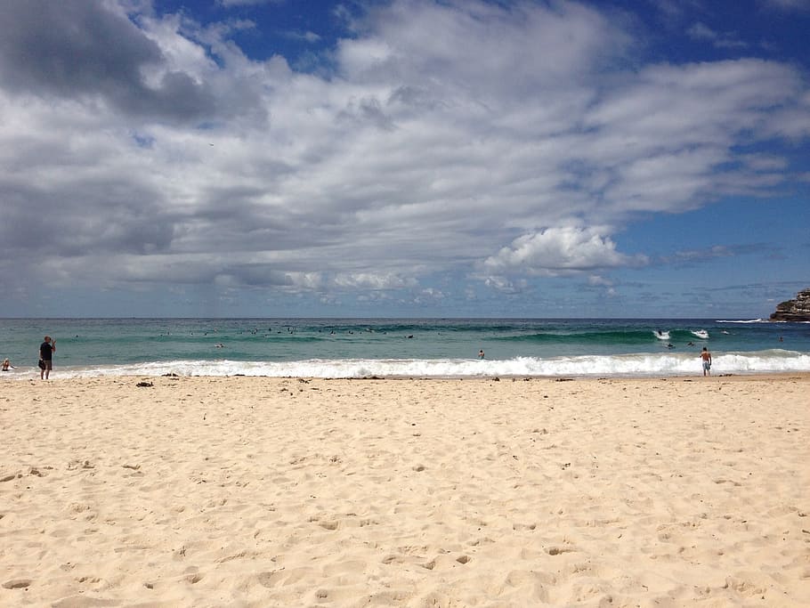 sydney, sea, beach, sand, coastline, nature, summer, land, water HD wallpaper