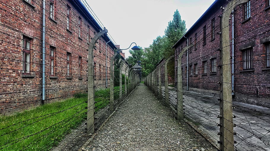 gray stone pathway between buildings, poland, auschwitz, architecture