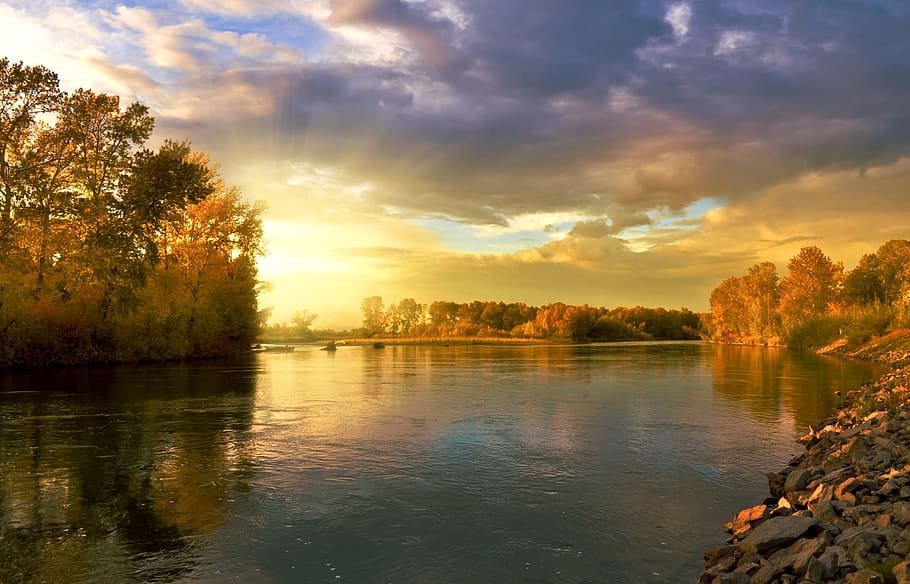 sunset over groove, autumn, landscape, nature, golden, september, HD wallpaper