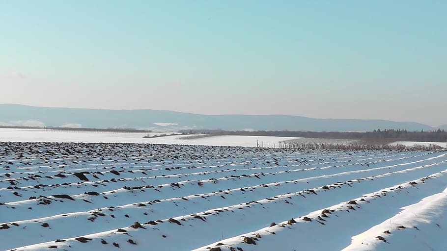 arable, field, wintry, snowy, winter, white, winter magic, landscape HD wallpaper