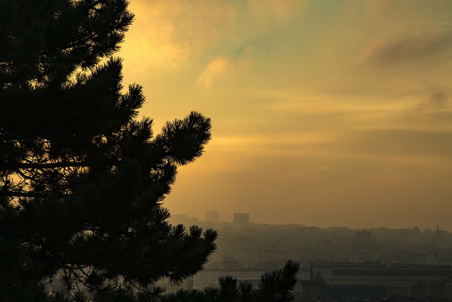 morning, sky, clouds, beautiful, landscape, sunrise, backlighting HD wallpaper