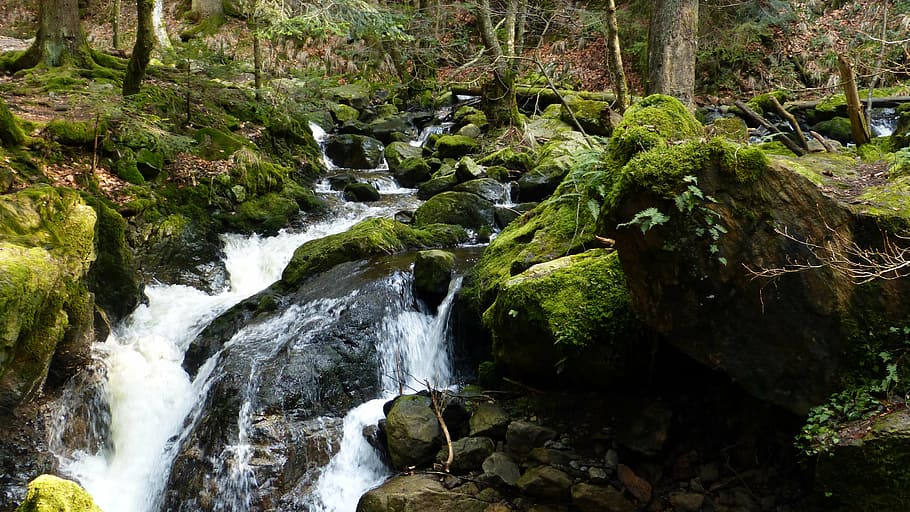 black forest, gorge, ravenna gorge, nature, waterfall, river, HD wallpaper