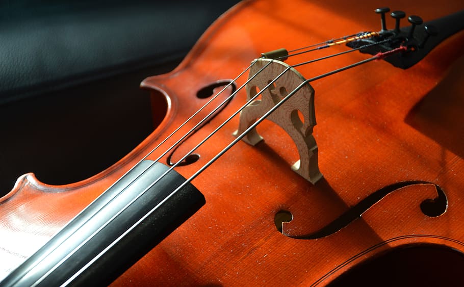 close up photography of brown violin, cello, strings, stringed instrument, HD wallpaper