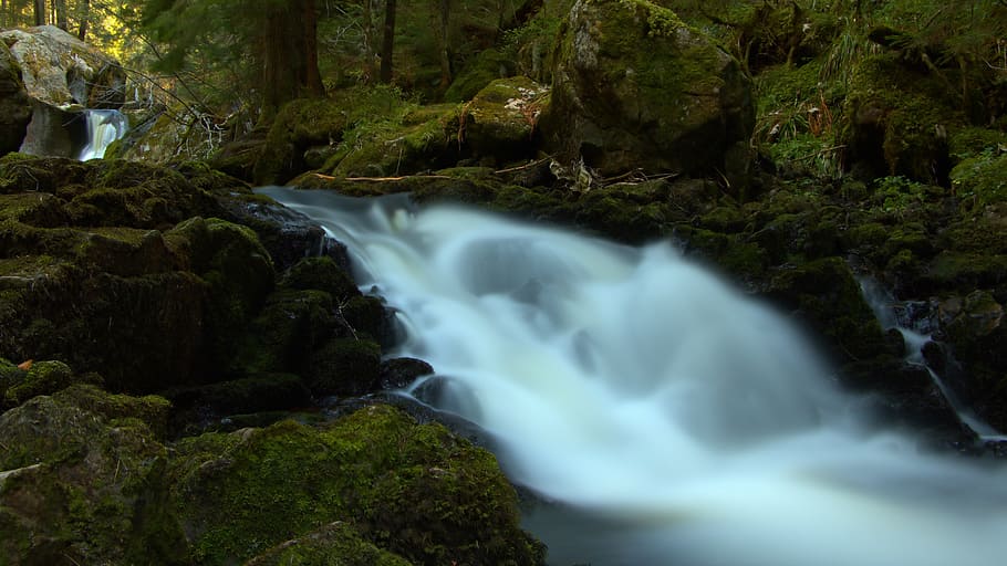 river, forest, spring, nature, summer, rock, landscape, flow HD wallpaper