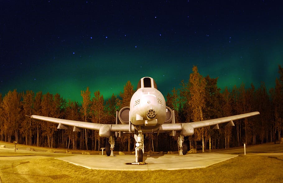 white commercial airplane near brown leafed trees during nighttime