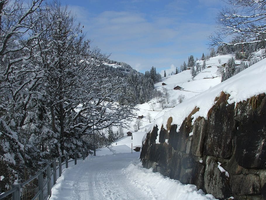 wengen, path, alps, switzerland, winter, snow, cold temperature, HD wallpaper