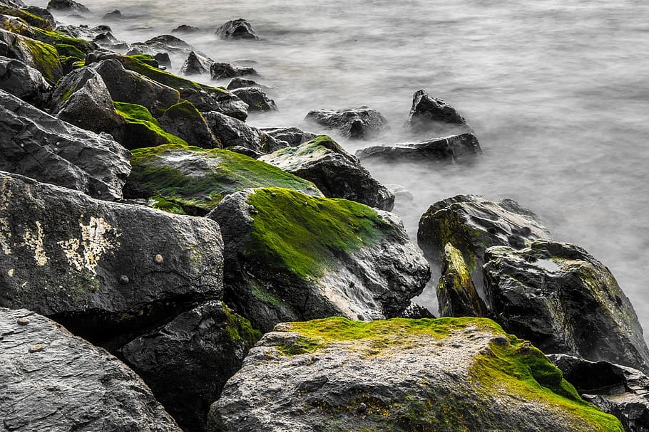 rocks, moss, grey, water, nature, environment, river, rocky HD wallpaper