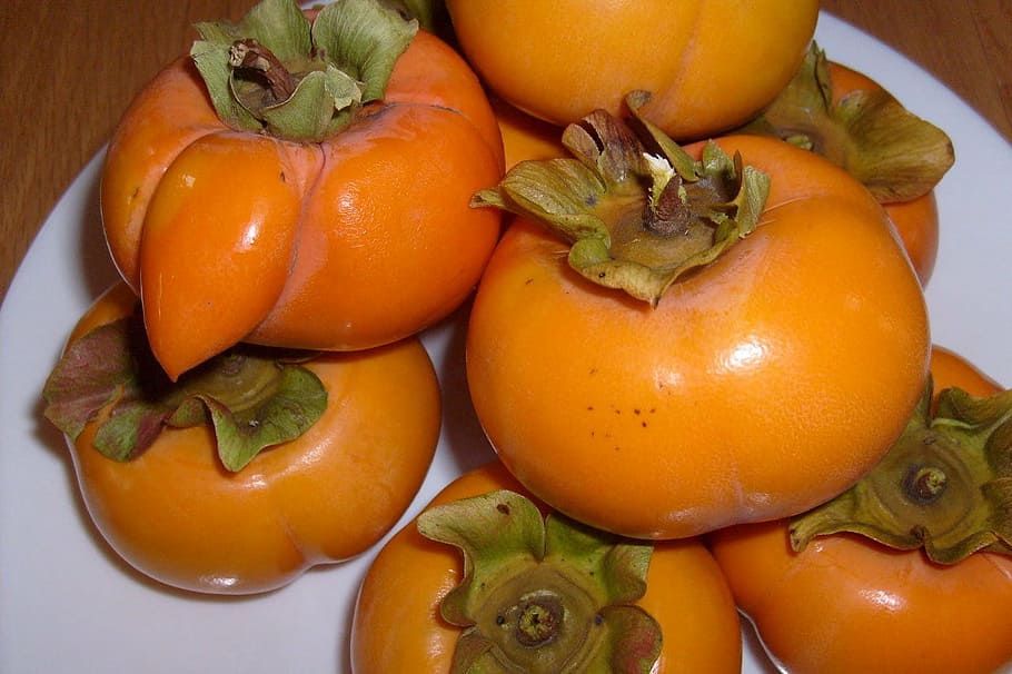 persimmons, fruit, healthy, fresh, ripe, natural, organic, harvest HD wallpaper
