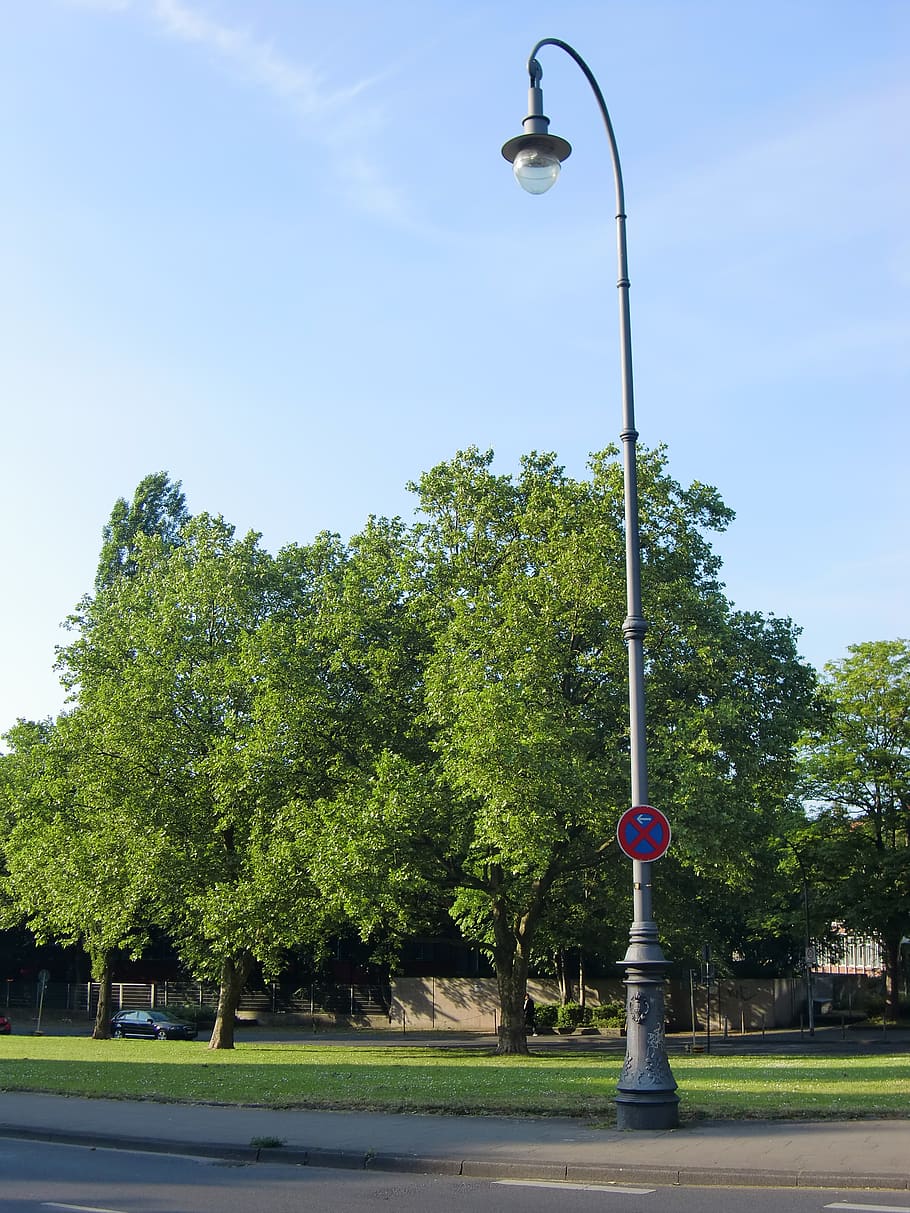 Online crop | HD wallpaper: street lamp, lantern, lighting, historic