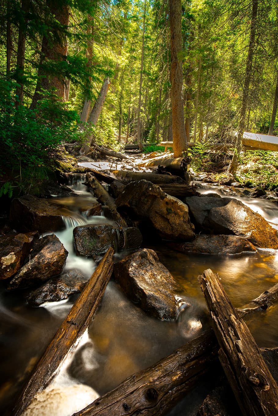 stream with large rocks and logs in the woods, time-lapse photography of river with rocks surrounded with tall trees at daytime HD wallpaper