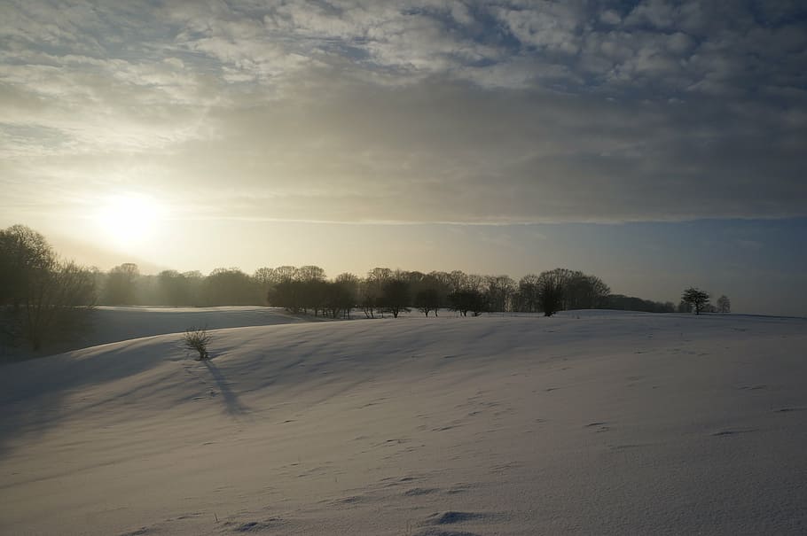 winter, snow, cold, landscape, white, frost, denmark, weather HD wallpaper