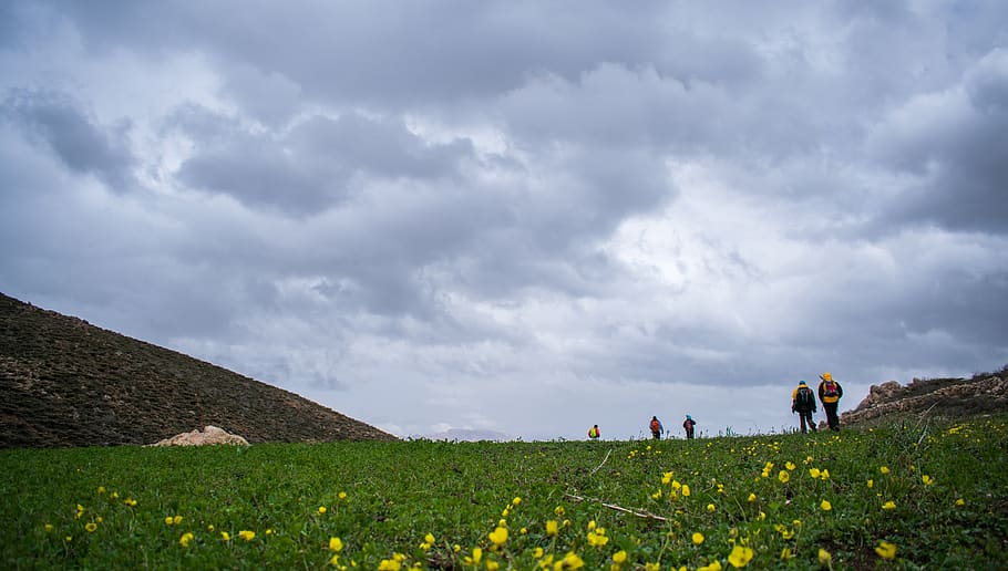 landscape, cloud, plain, flowers, mountain, cloud - sky, environment HD wallpaper