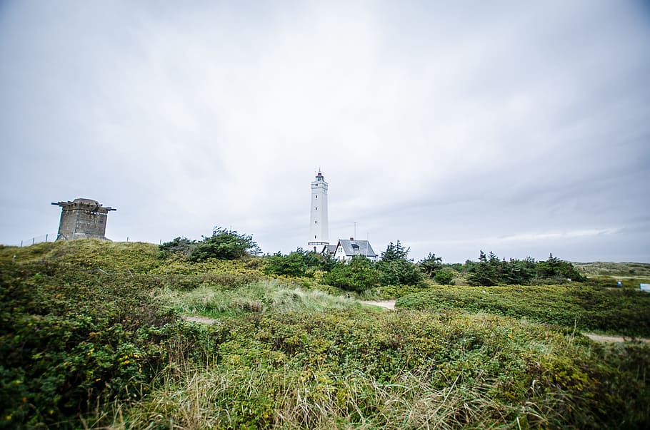 White Lighthouse in the Background of Green Fields, architecture HD wallpaper