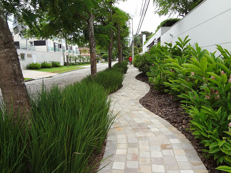 sidewalk, path, ride, plant, footpath, growth, green color HD wallpaper