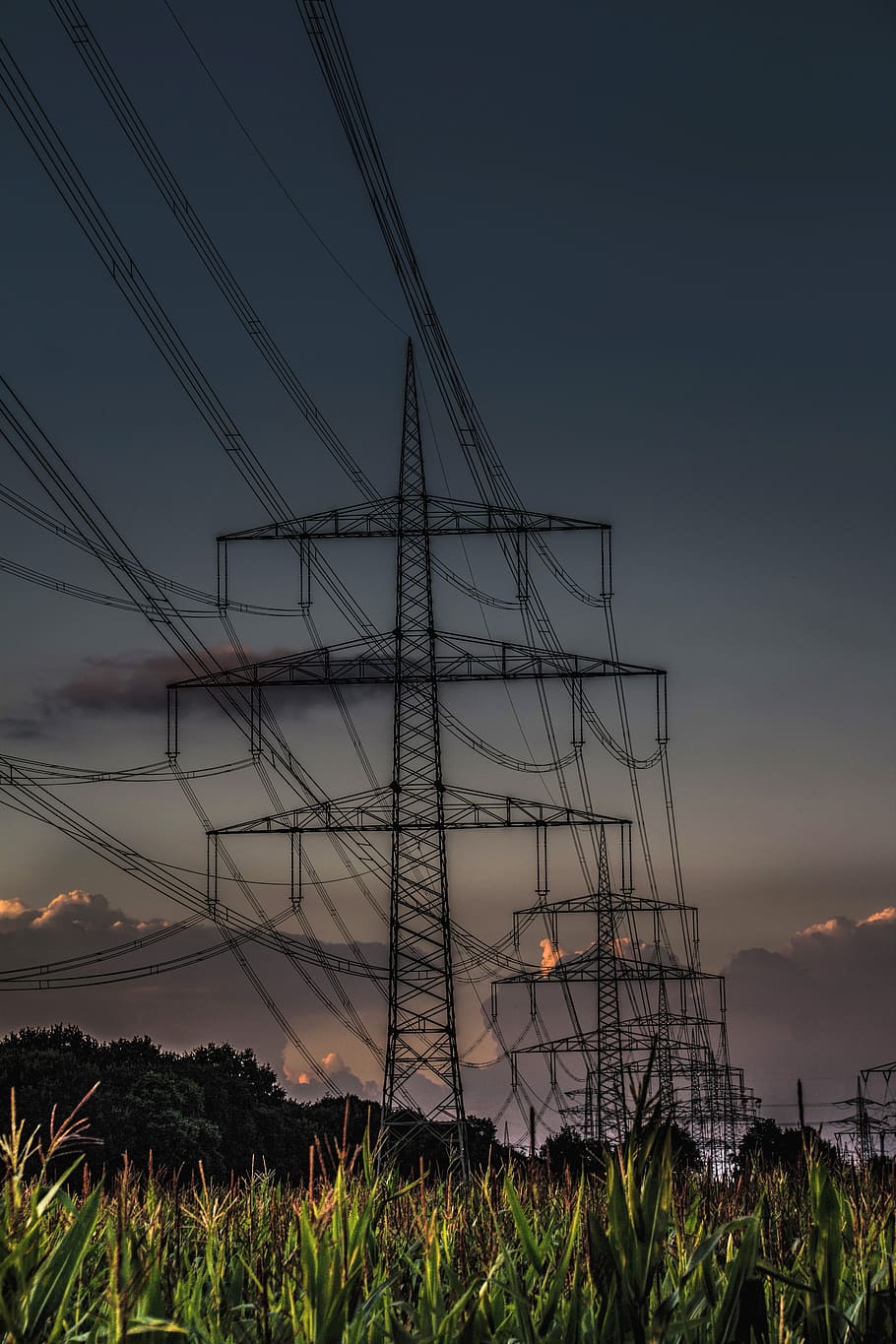 Power Line, Current, Energy, Electricity, landscape, caution HD wallpaper