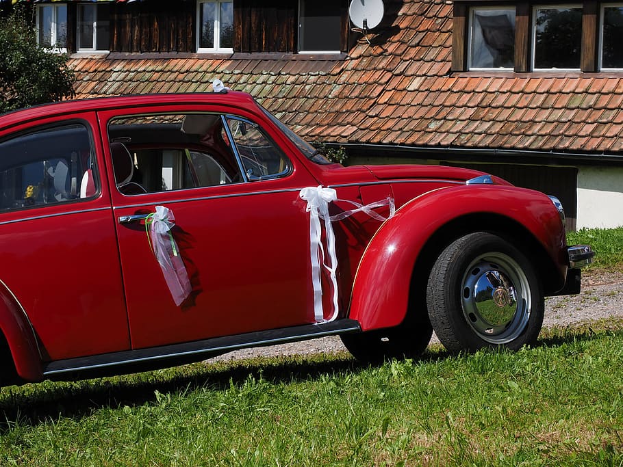 vw beetle, bridal car, auto, oldtimer, vehicle, classic, volkswagen HD wallpaper