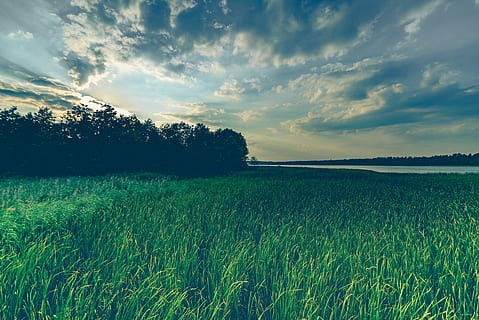 landscape photo of green field, lake, sky, reflection, water HD wallpaper