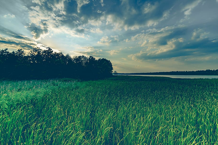 landscape photo of green field, lake, sky, reflection, water, HD wallpaper